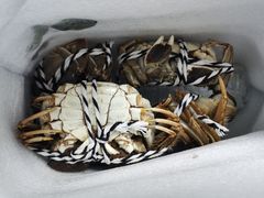 -七的湖·晚芳亭·阳澄湖农家菜·大闸蟹(莲花岛店)