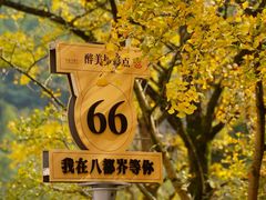 -长兴八都岕景区
