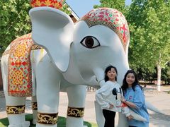 -永定河休闲森林公园