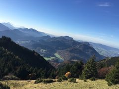 -沙夫山