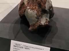 -北京周口店北京人遗址博物馆