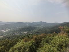 -灵顺寺