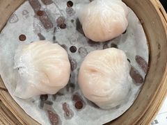 晶莹鲜虾饺-添好运(中环IFC店)