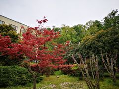 -南京国际会议大酒店