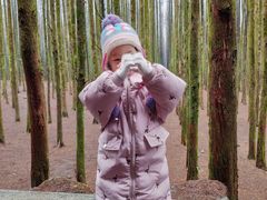 -山王坪喀斯特国家生态公园
