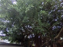 -闽粤南澳总镇府