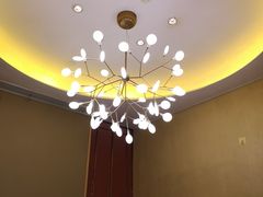 -苏州金鸡湖文博诺富特酒店