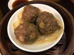 香菜山药牛肉丸-添运来(茶园奥园广场店)