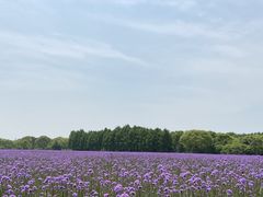 -山明水秀大饭店