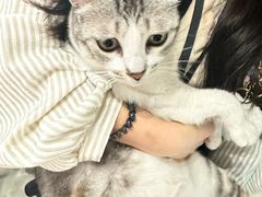 -谜盒子奇幻密室(南屏店)