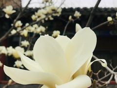 -八奇洞景区