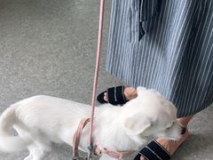 -安安宠医·安宠宠物医院