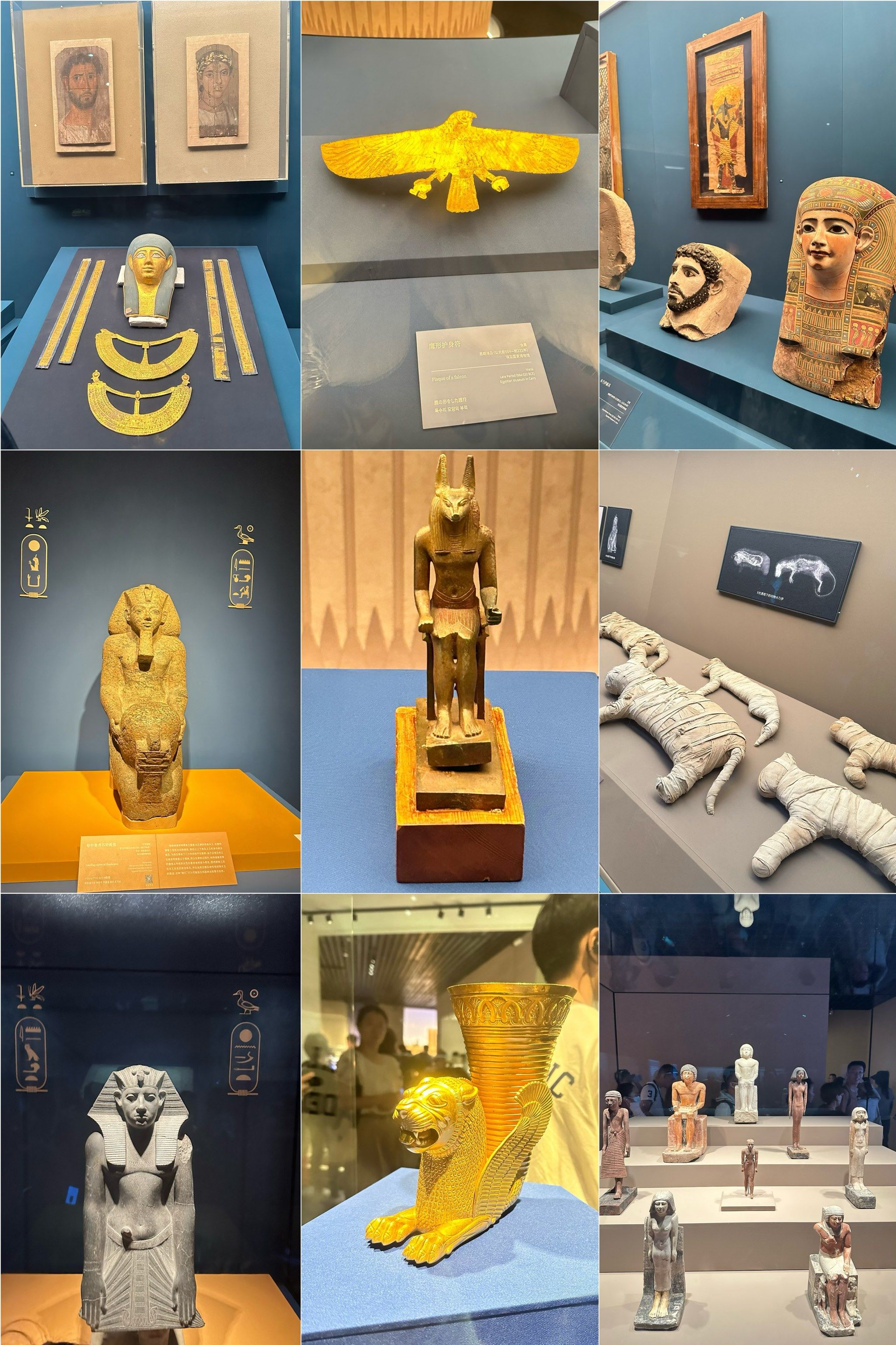 最近在上海博物馆举办的"古埃及文明大展"是一场不容错过的文化之旅.