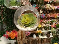 -三圣花乡旅游区