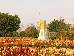 -广东花都香草世界旅游度假区