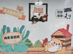 -柴犬高等学院·狗咖·柴犬售卖·宠物训练