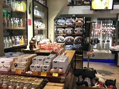 -猫咪博物馆(顶澳仔猫街店)