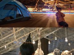 -世界恐龙谷景区