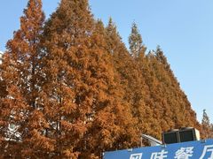 -青岛大学(金家岭校区)