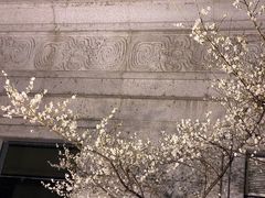 -杭州植物园