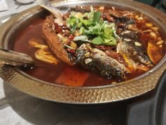 -肥家大排档(天河体育西店)