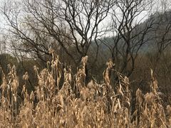 -西湖风景区-江洋畈生态公园