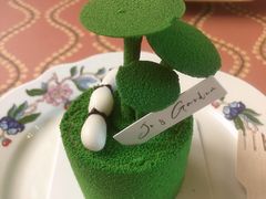 -Jo's Garden