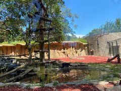 -北京野生动物园