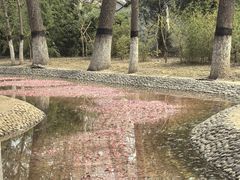 -桃花堤公园