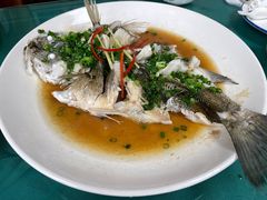 -小本鸡饭店(滨江白马湖店)