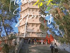 -深圳国际园林花卉博览园