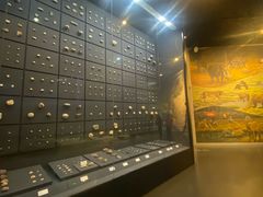 -北京周口店北京人遗址博物馆