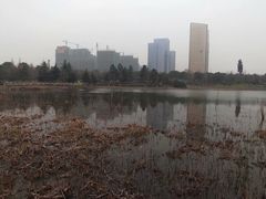 -忠山公园