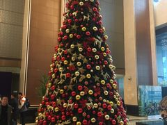 -上海嘉定喜来登酒店