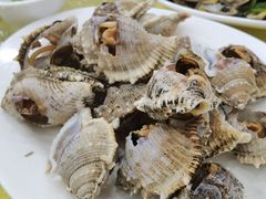 白酌海螺-锐记美食店·现捞海鲜(闸坡店)