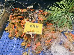 -尖沙咀大酒楼(罗村店·粤菜海鲜·宴会聚餐)
