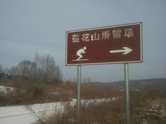 -长春莲花山滑雪场