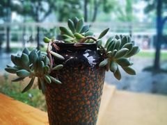 -咖星人E·T coffee·云赛空间