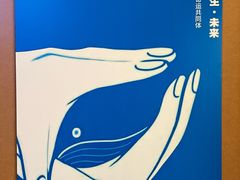 -美罗城