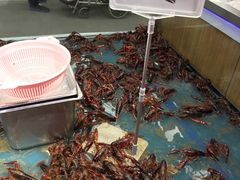 -盒马鲜生(大成店)