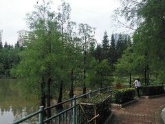 -深圳龙潭公园