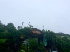 -石老人观光园