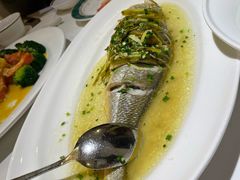 -老洋房花园饭店(绍兴路店)