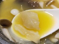 鱼肚-金枝玉叶上海人家食府(三里河店)