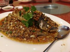 -龙悦湾酒家·八阵鱼生·渔人码头店