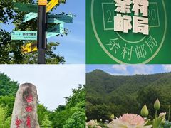 -阿露佳·舌尖上的安吉菜