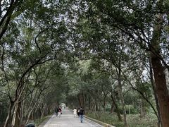 -灵谷景区