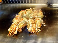 -大渔·观筵(三里屯太古里店)