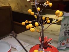 -京华烟云·北京烤鸭(领展购物广场·中关村店)