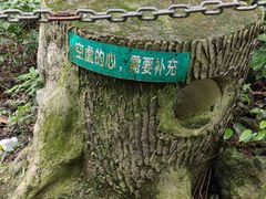 -七仙岭温泉国家森林公园